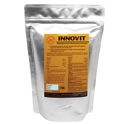 INNOVIT INNOVIT